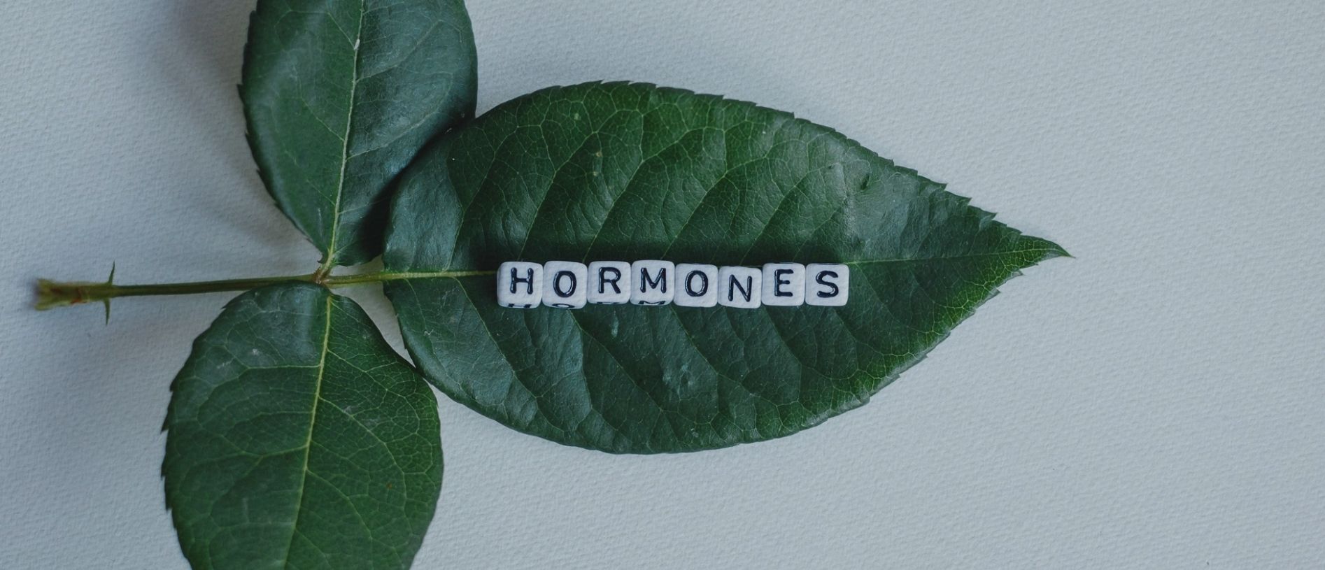 Hormone Replacement Therapy